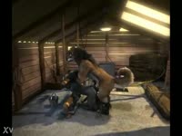 Dog anal sex in the cabin with furry whore getting smashed